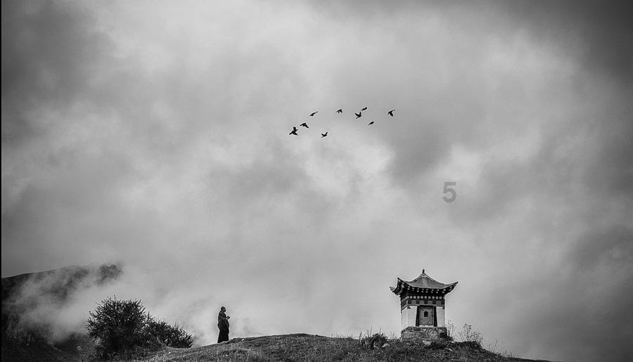 恐龙绝地逃生